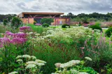 The garden in RHS Bridgewater